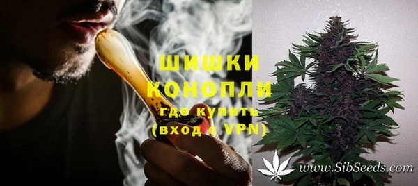 мяу мяу мука Белокуриха