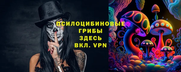 мяу мяу мука Белокуриха