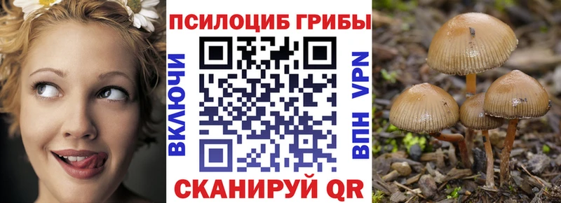 Псилоцибиновые грибы Psilocybine cubensis Вичуга