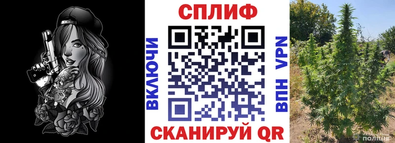 Канабис THC 21%  дарнет шоп  Вичуга 